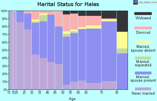 Crisp County marital status for males