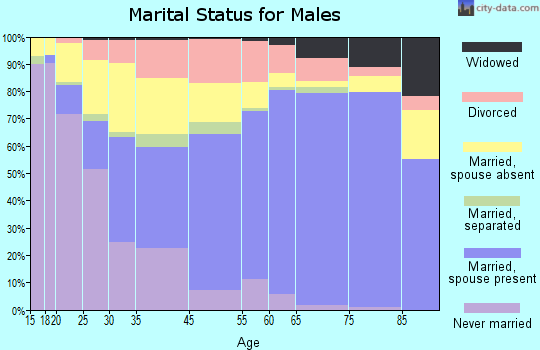 Bryan County marital status for males