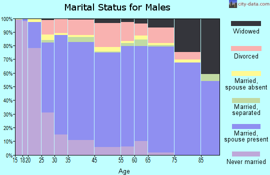 Adams County marital status for males