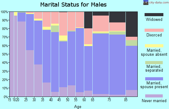 Ravalli County marital status for males