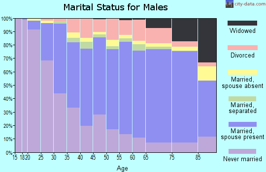 Guilford County marital status for males