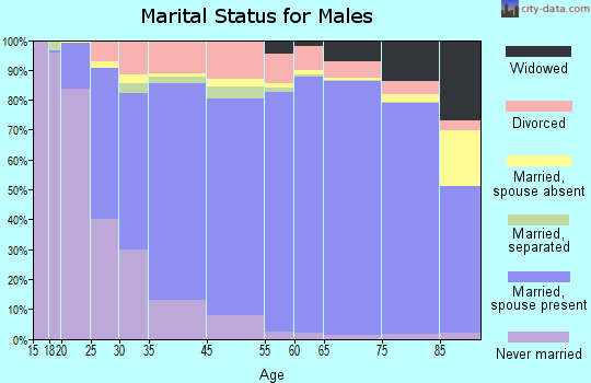 Brown County marital status for males
