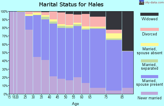 Rensselaer County marital status for males