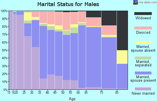 Spartanburg County marital status for males