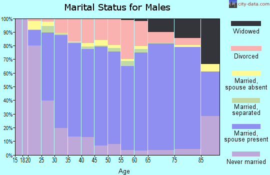 Lonoke County marital status for males