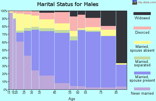 Burnett County marital status for males