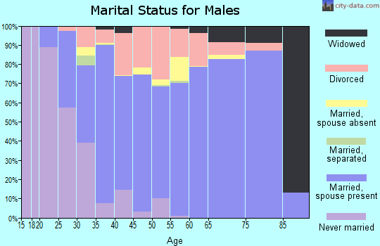 Dawson County marital status for males