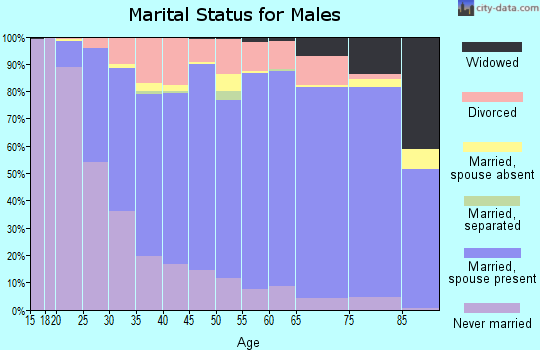 McLeod County marital status for males