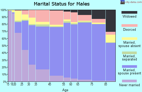 Broadwater County marital status for males
