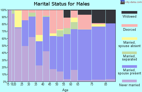 Ritchie County marital status for males