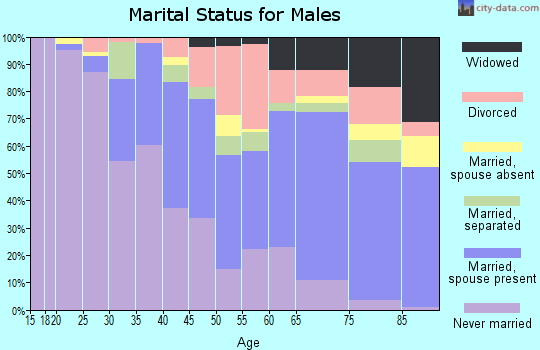Macon County marital status for males