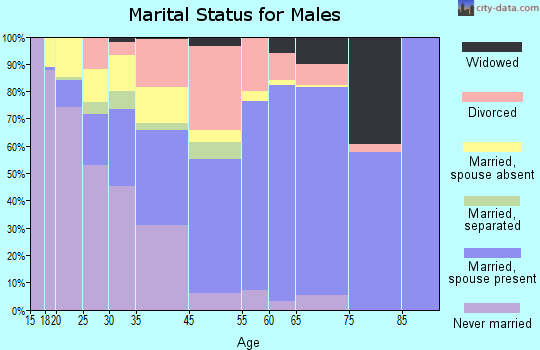 Windham County marital status for males