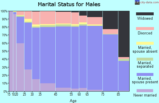 Adair County marital status for males