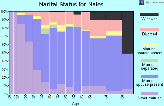 Elko County marital status for males