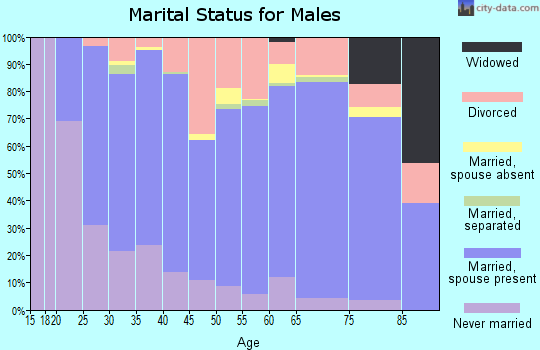 Holt County marital status for males