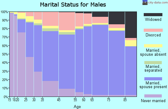 Bartow County marital status for males