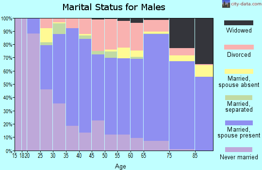 Mifflin County marital status for males