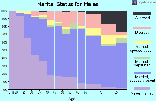 Henrico County marital status for males