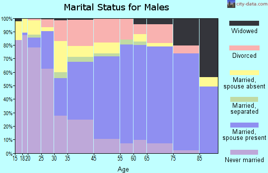 Boone County marital status for males