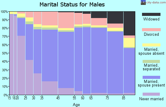 Boone County marital status for males