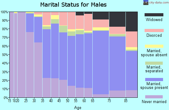 Broome County marital status for males