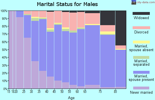Licking County marital status for males