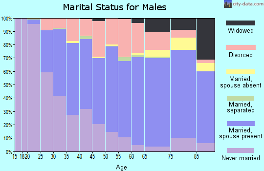 Androscoggin County marital status for males