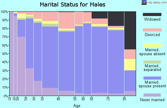 Hampshire County marital status for males