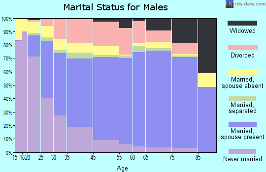 Brown County marital status for males