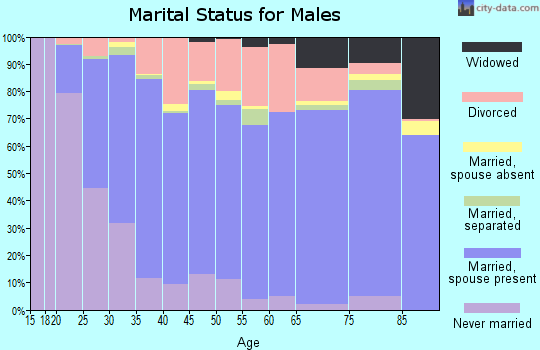Howell County marital status for males