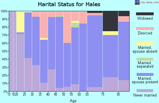 Steele County marital status for males