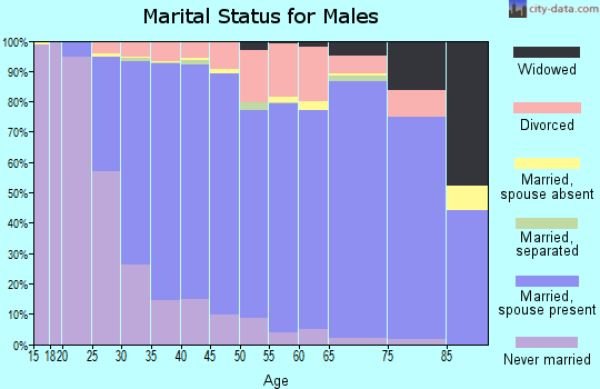 Kendall County marital status for males