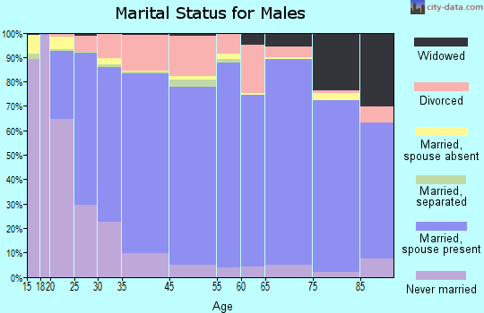 Adams County marital status for males