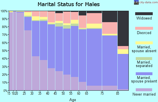Schenectady County marital status for males