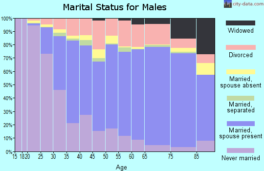 Lorain County marital status for males