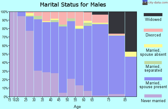 Montour County marital status for males