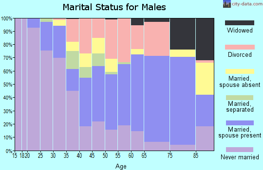 Luce County marital status for males