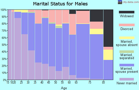 Mille Lacs County marital status for males