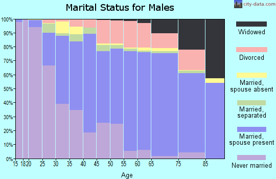 Schoharie County marital status for males
