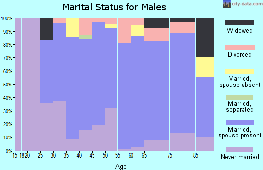 Towner County marital status for males