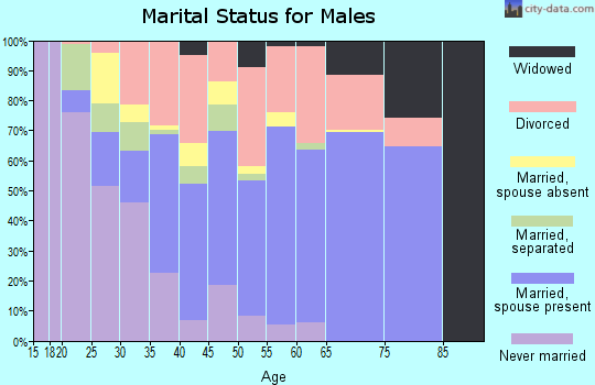 Bledsoe County marital status for males