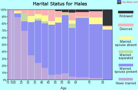 James City County marital status for males