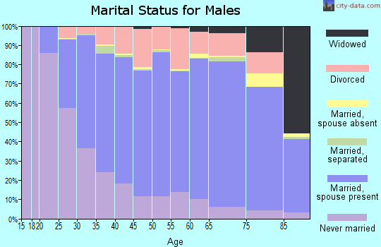 Morrison County marital status for males