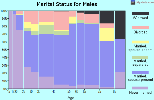 Emery County marital status for males