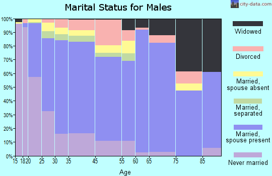 Augusta County marital status for males