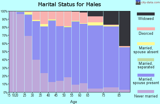 Portage County marital status for males