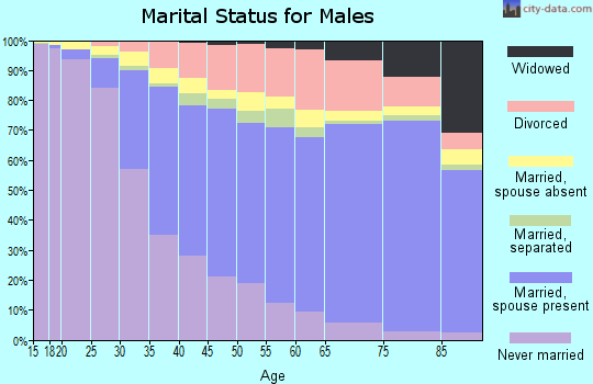 Palm Beach County marital status for males