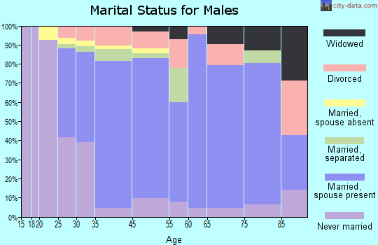 Clay County marital status for males