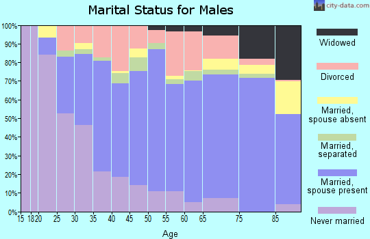 Neshoba County marital status for males