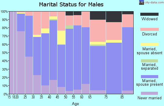 Murray County marital status for males